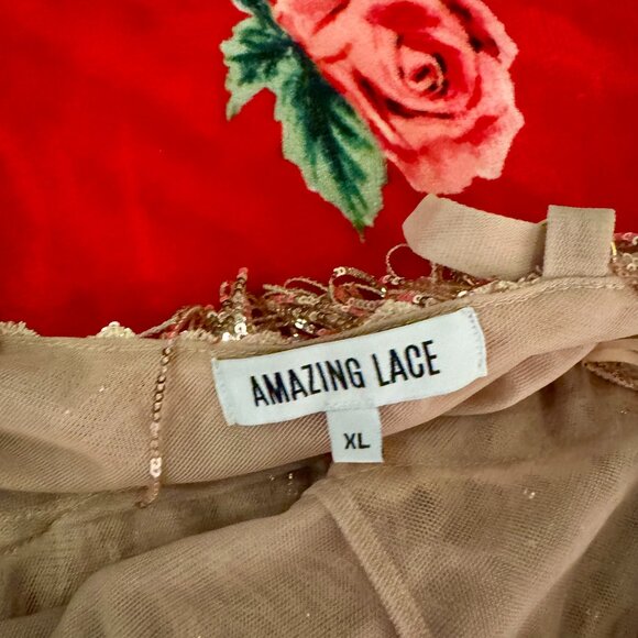 Amazing Lace Rose Gold Sequin Fringe Dress XL – Shake It My Way - Picture 6 of 9